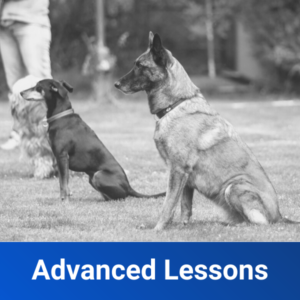 advanced lessons