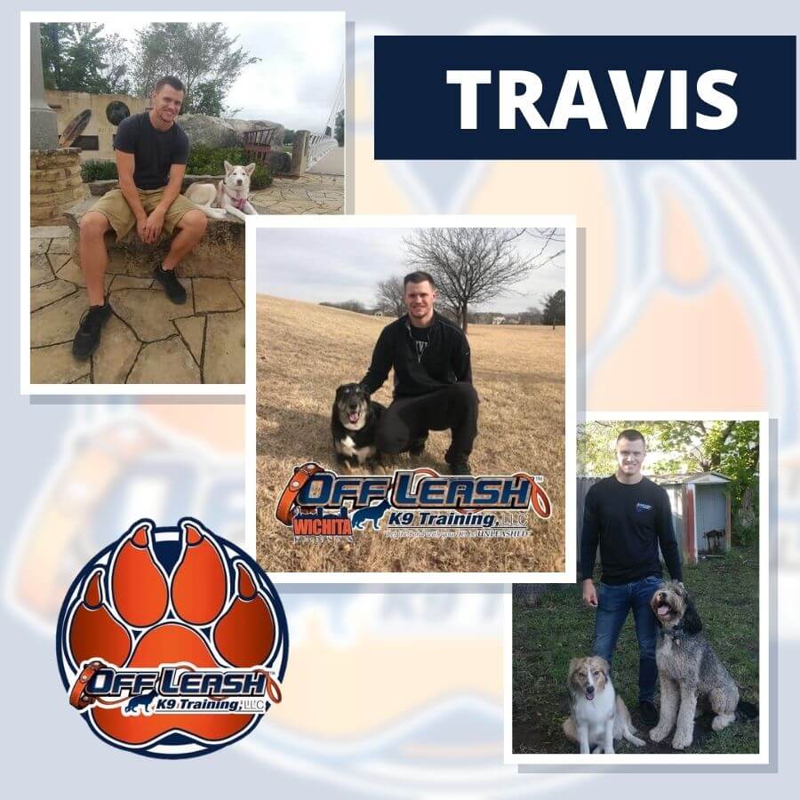 About Wichita Off Leash K9 Training